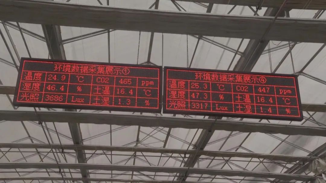 xh6388�����ء�(�й���)���޹�˾����