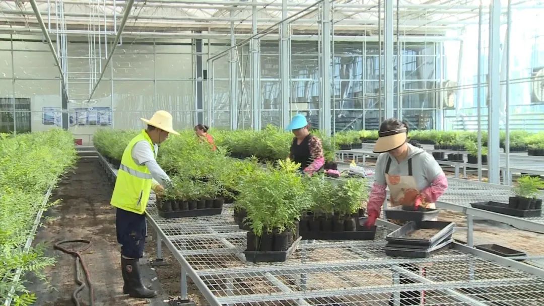 xh6388�����ء�(�й���)���޹�˾����