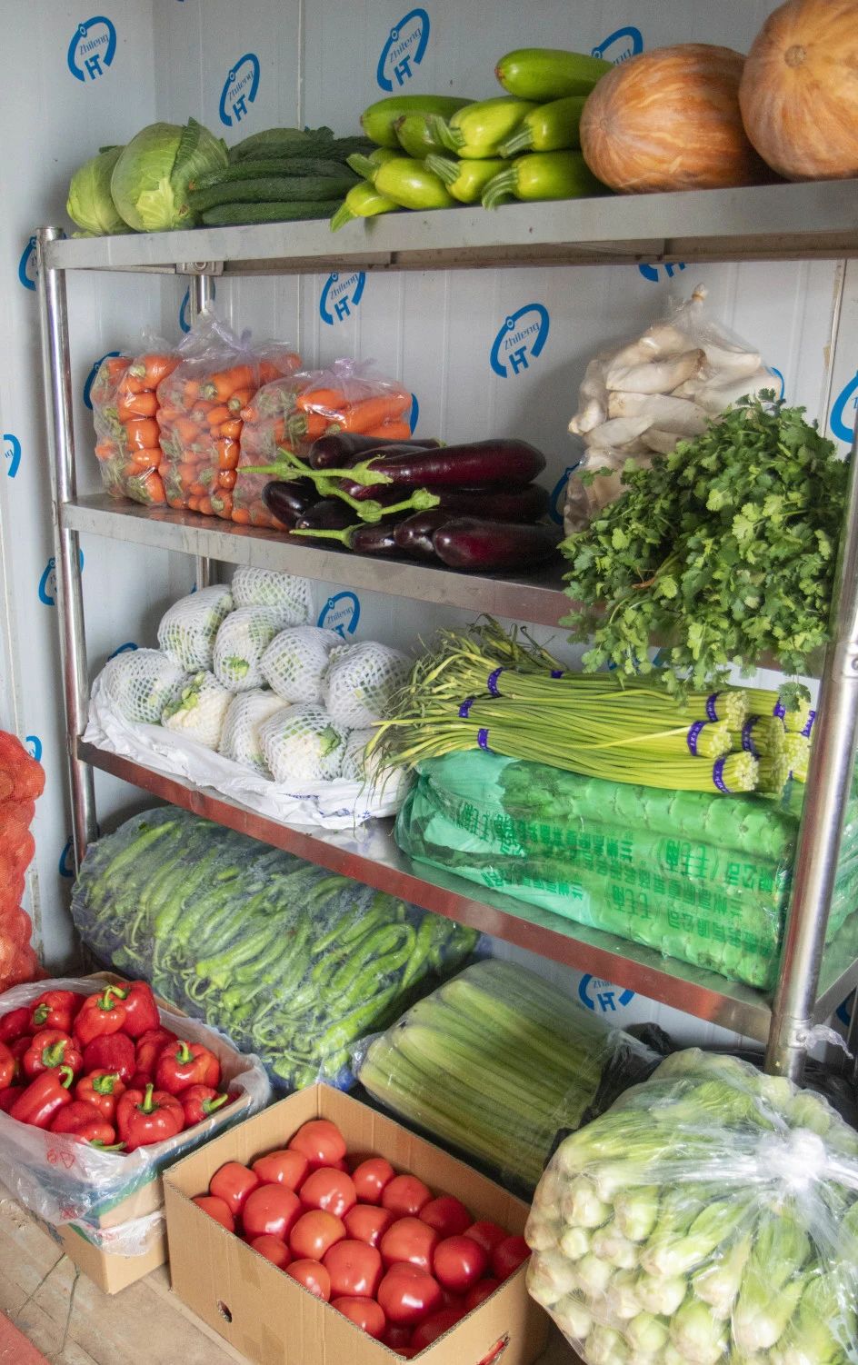 xh6388�����ء�(�й���)���޹�˾����