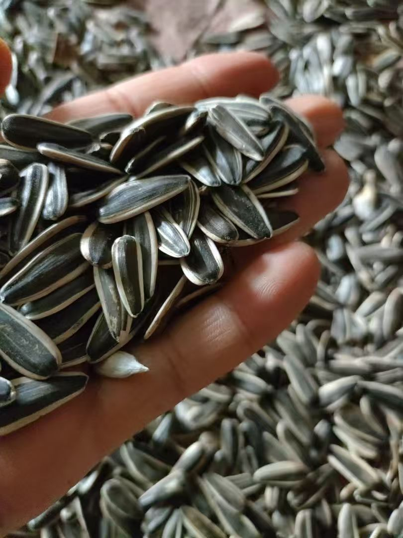 xh6388新濠天地·(中国区)有限公司官网